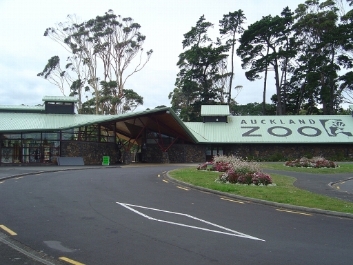 Auckland Zoo: A Guide to New Zealand’s Premier Wildlife Experience