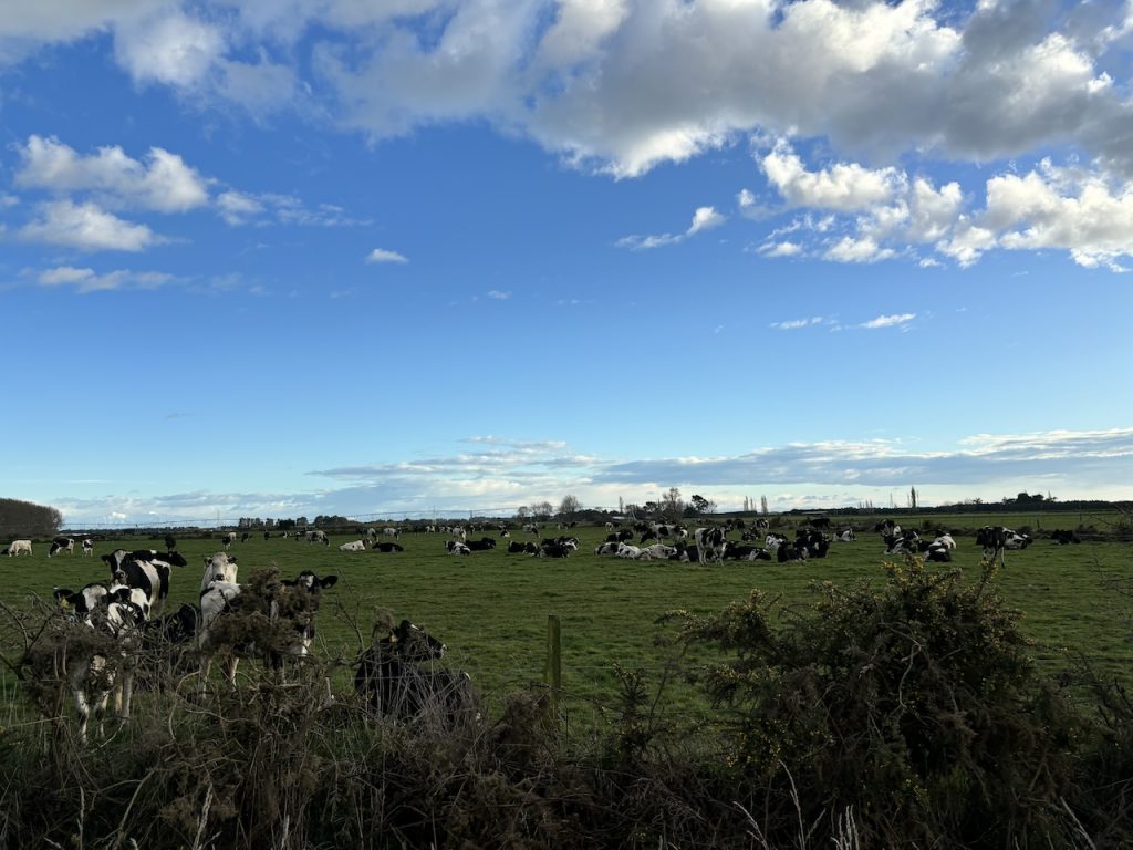 A Satellite View of Agriculture: Transforming Farming Around Christchurch