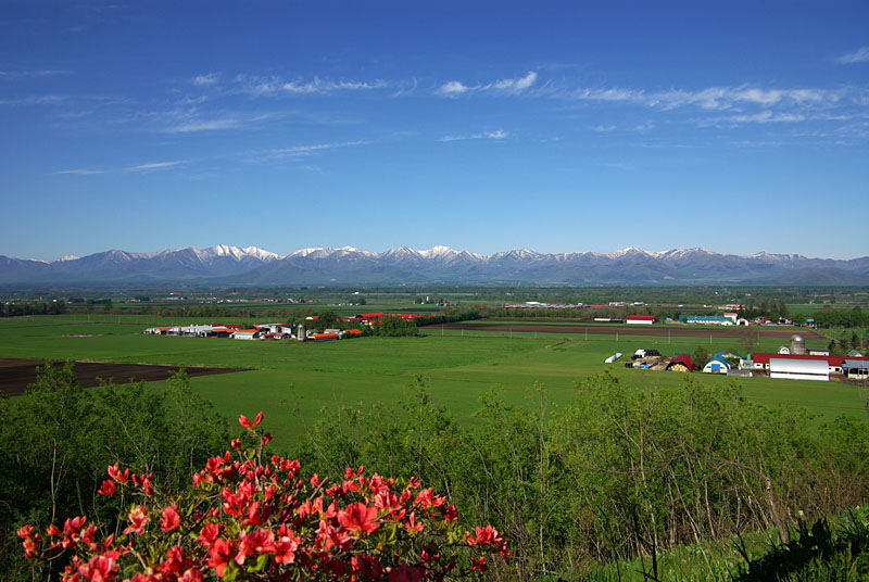 Using Satellite Data for Agriculture in Hokkaido, Japan