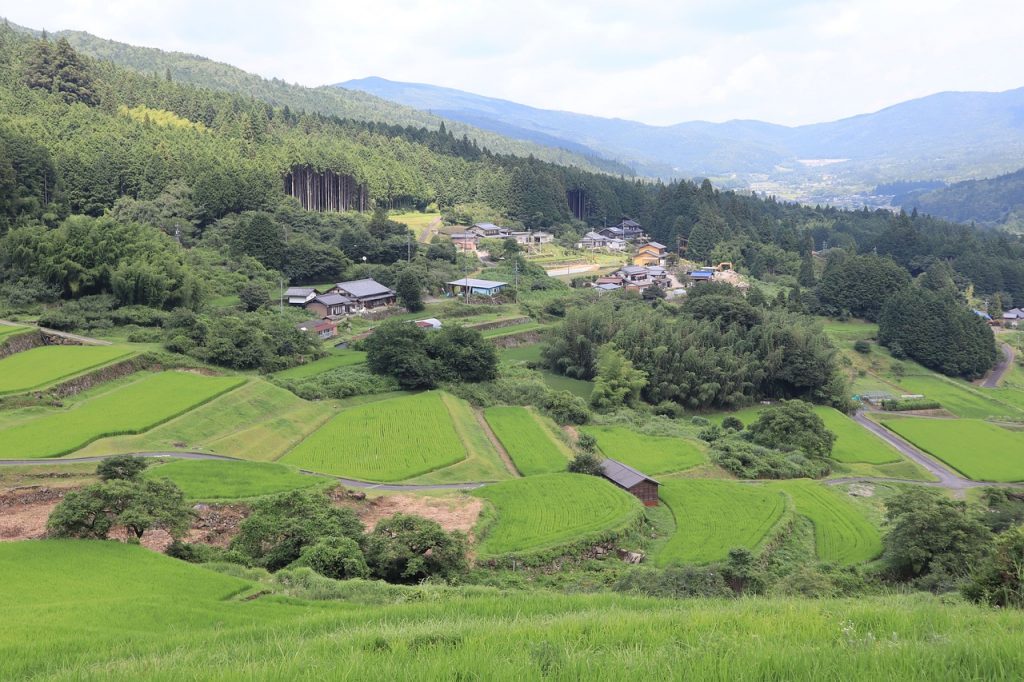 Using Satellite Data in Agriculture in Japan