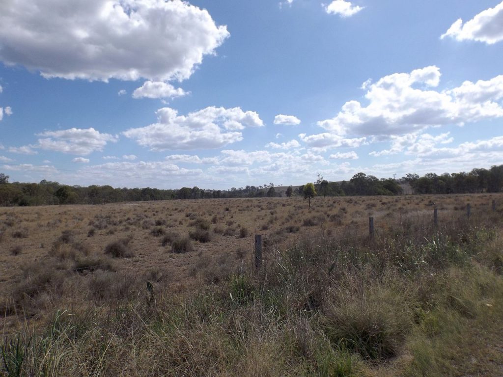 Fertilization and Soil Health for Wheat Production in Queensland, Australia