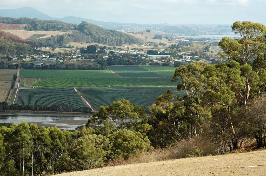 Fertilization and Soil Health for Wheat Production in Tasmania, Australia