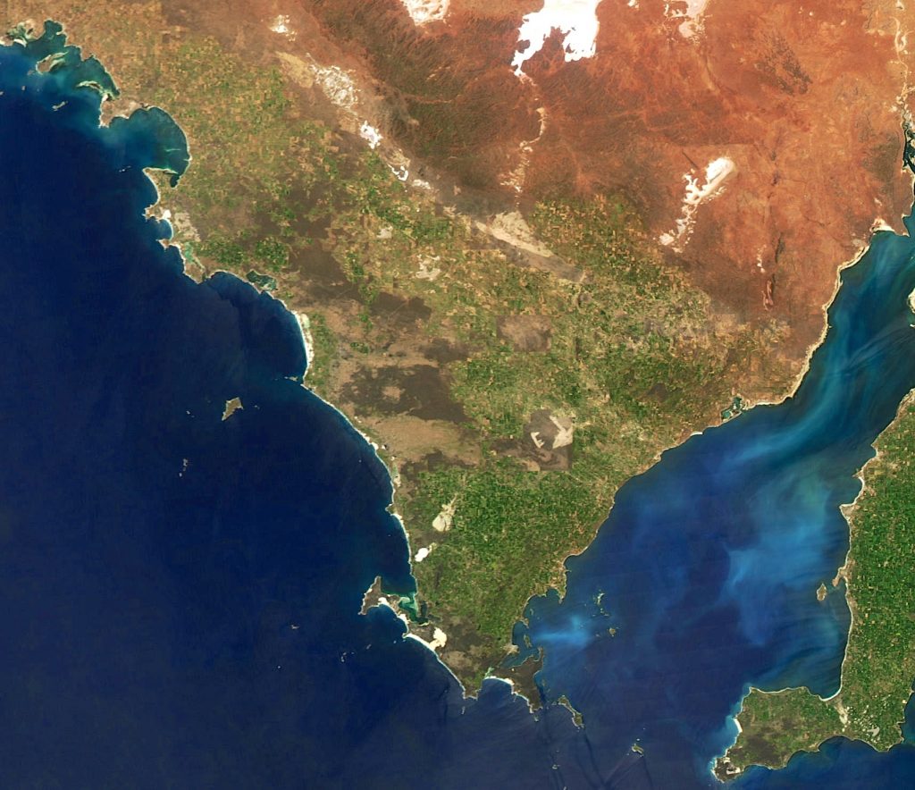 Fertilization and Soil Health for Wheat Production in South Australia, Australia