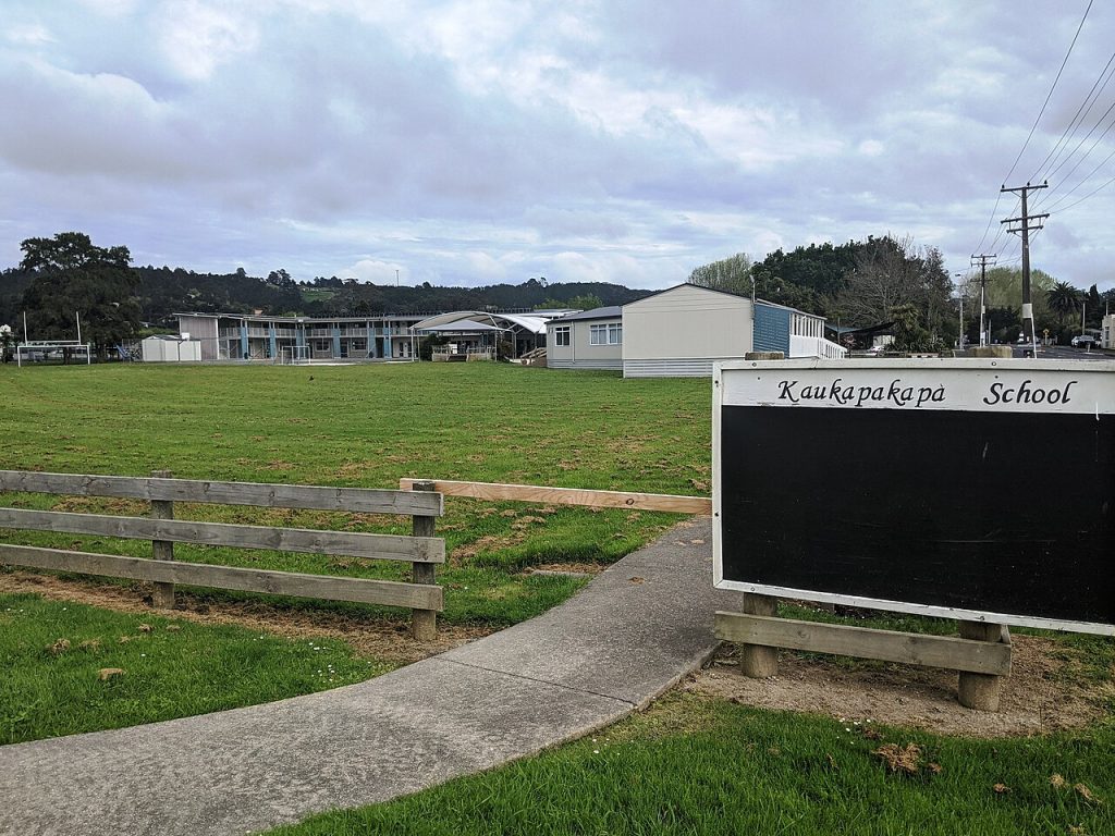 Primary Schools and Intermediate Schools in Rodney, Auckland