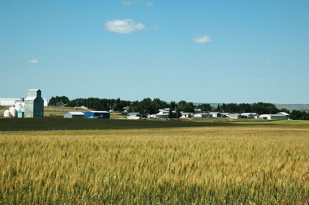 Wheat Types and Yields in Canada