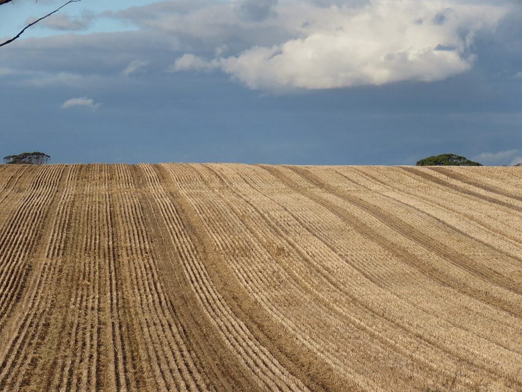 Overview of Wheat Production in Western Australia, Australia