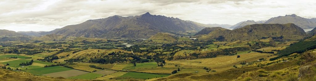 Satellite Data for Optimizing Wheat Production on New Zealand's South Island