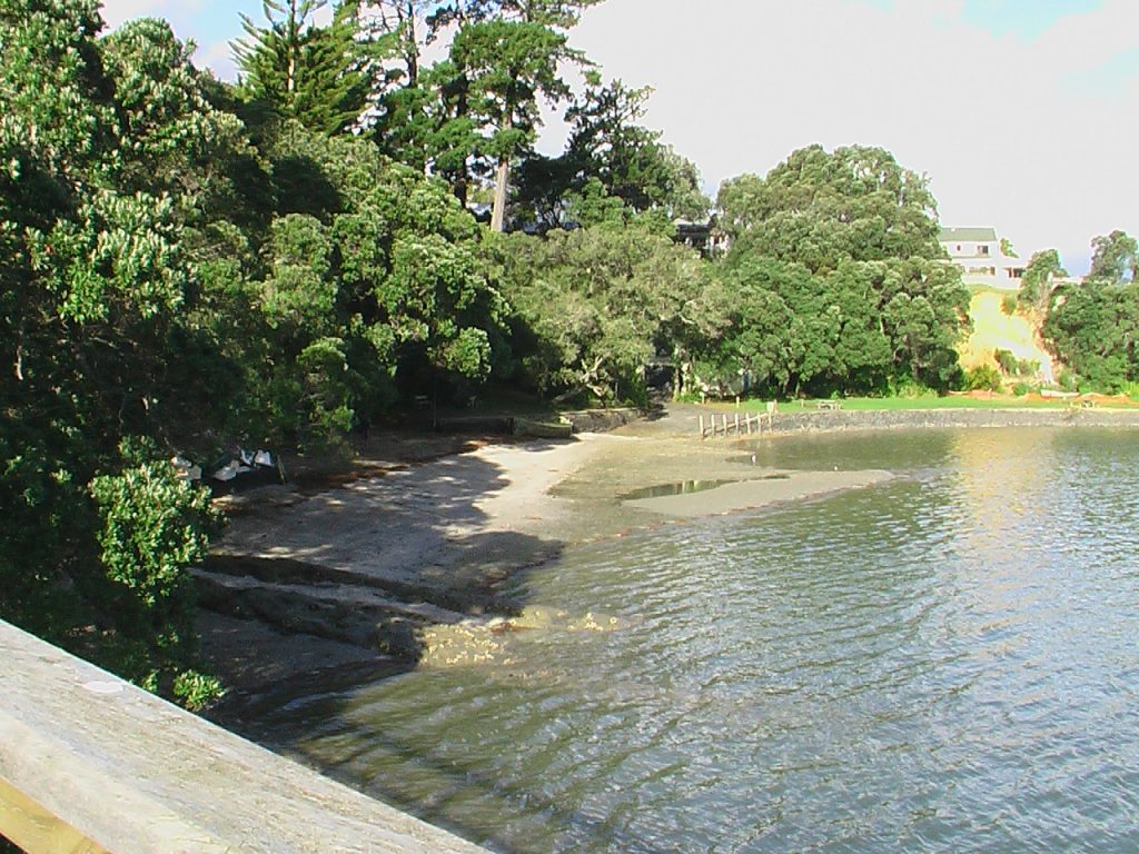 Intermediate & Primary Schools in Kaipatiki: Growing Minds in the Heart of Auckland