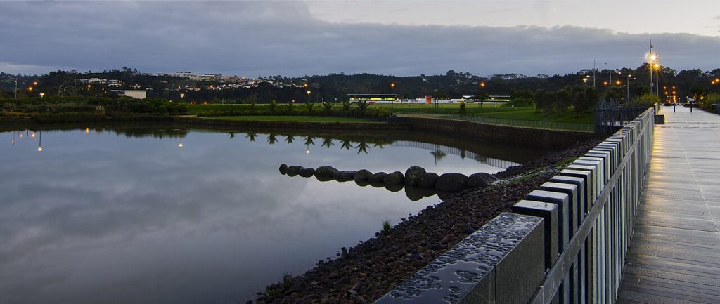 Primary Schools in Upper Harbour, Auckland